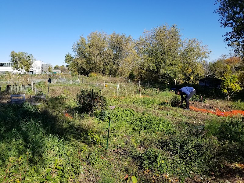 Parc canin AMPC dog park in Saint-Hyacinthe, Quebec
