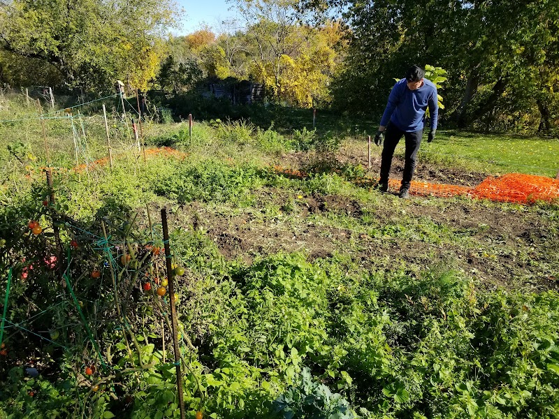 Parc canin AMPC dog park in Saint-Hyacinthe, Quebec