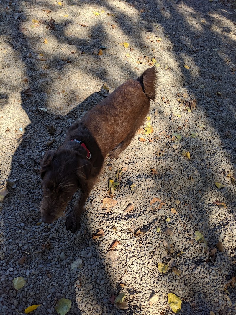 Rimouski Dog Park dog park in Rimouski, Quebec