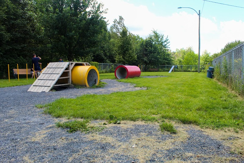 Dog Park dog park in Saint-Georges, Quebec