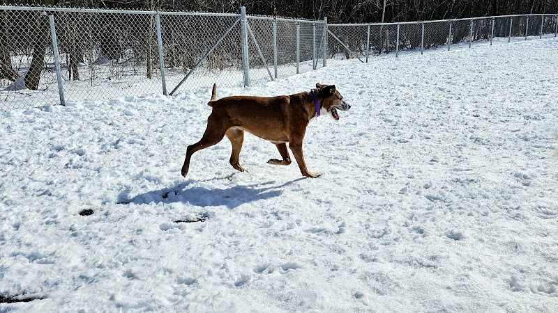 Dog Park dog park in Saint-Georges, Quebec