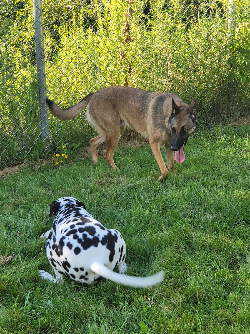 Dog Park dog park in Saint-Georges, Quebec