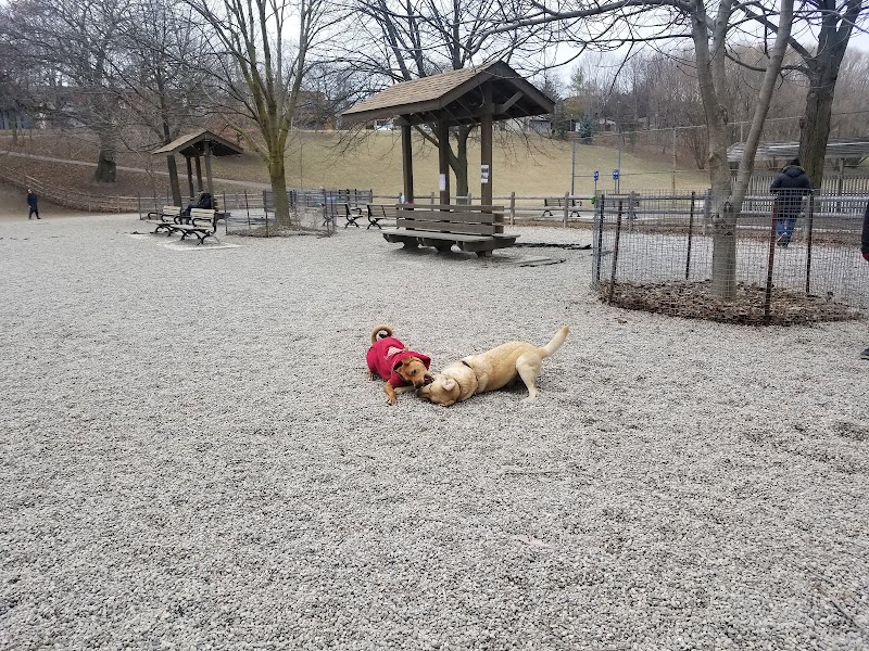Bickford Park Dog Park dog park in Toronto, Ontario