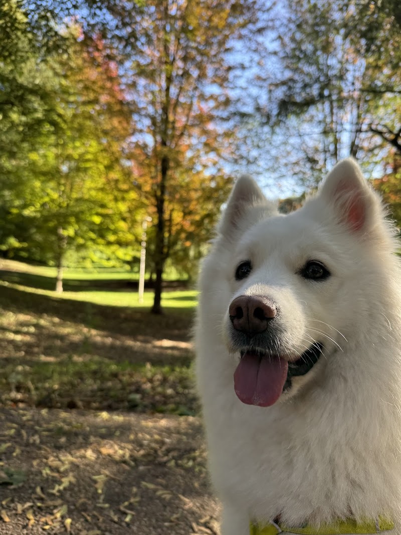 Bickford Park Dog Park dog park in Toronto, Ontario