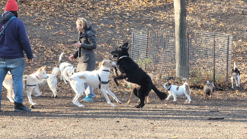 Bickford Park Dog Park dog park in Toronto, Ontario