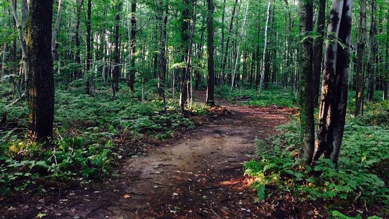 Plein-Air Canin (Private dog park - entrance fee) dog park in Levis, Quebec