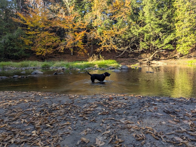 Plein-Air Canin (Private dog park - entrance fee) dog park in Levis, Quebec