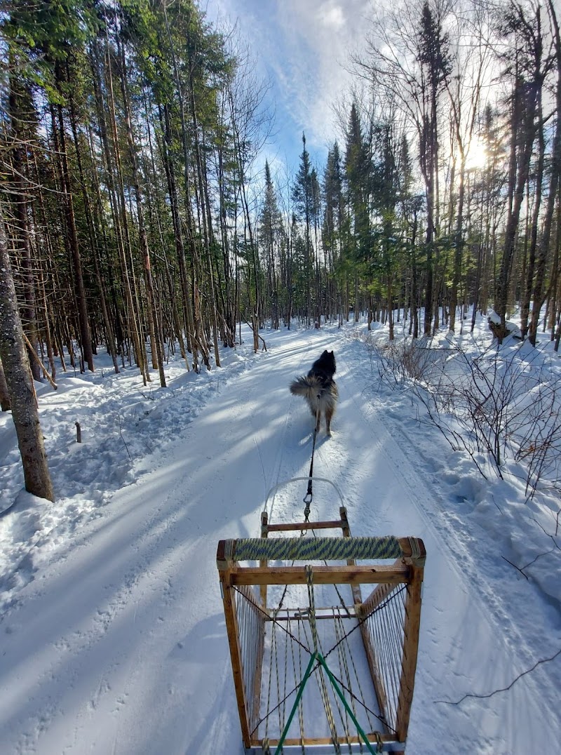 Plein-Air Canin (Private dog park - entrance fee) dog park in Levis, Quebec