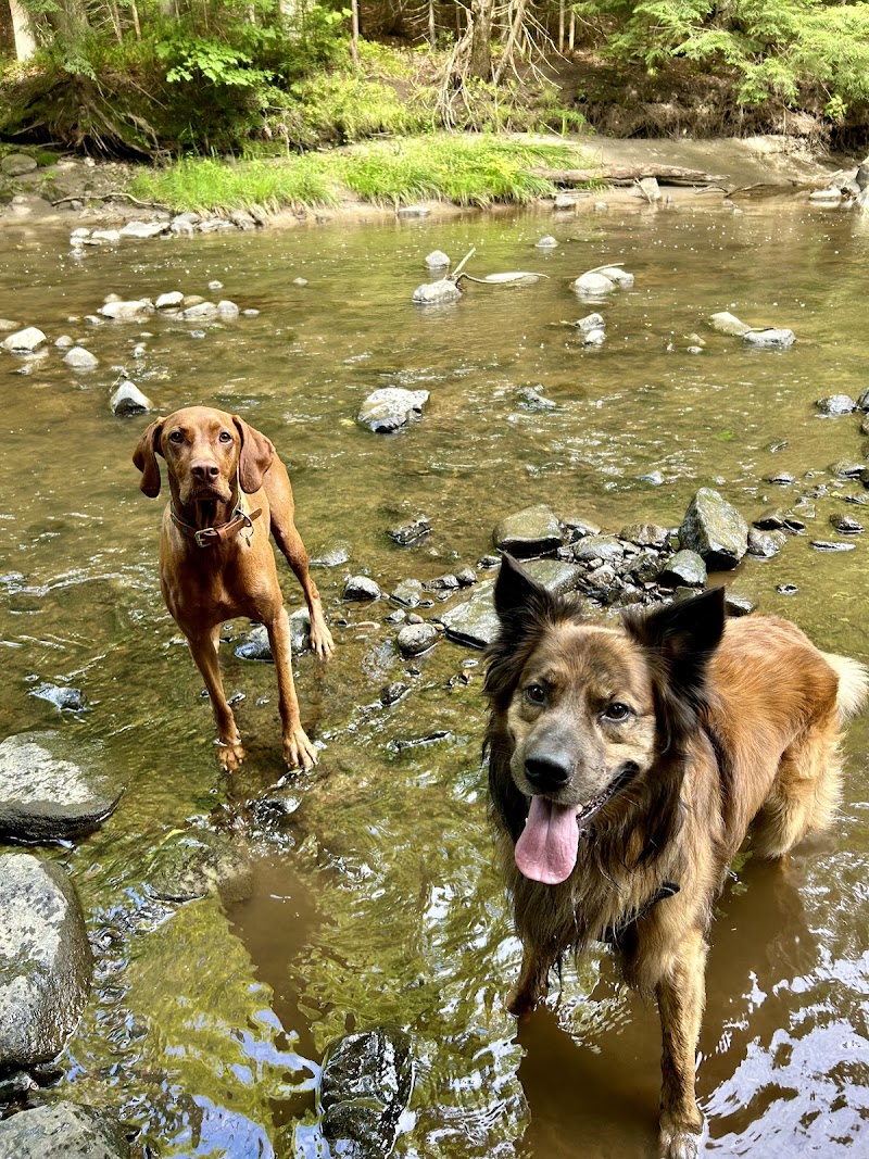 Plein-Air Canin (Private dog park - entrance fee) dog park in Levis, Quebec