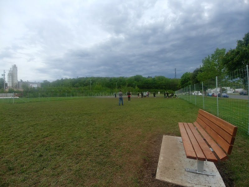 St Romuald Dog Park dog park in St-Romuald, Quebec