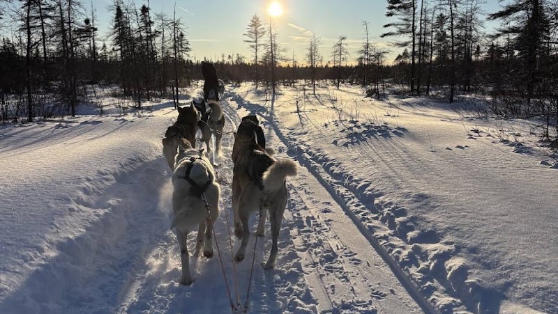 Passion Husky dog park in Saint-Nicolas, Quebec