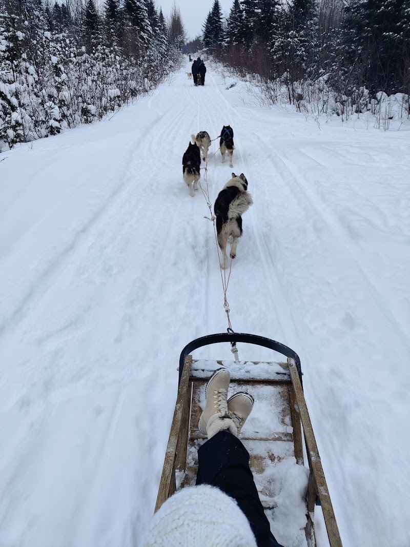 Passion Husky dog park in Saint-Nicolas, Quebec