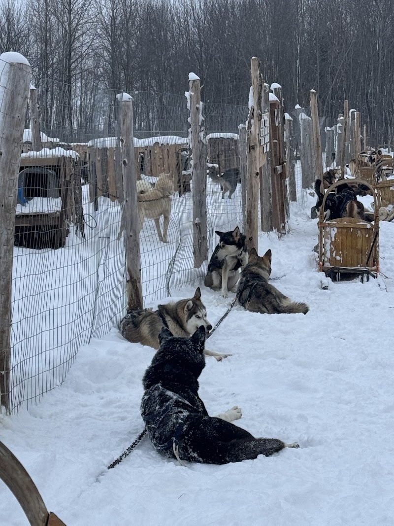 Passion Husky dog park in Saint-Nicolas, Quebec