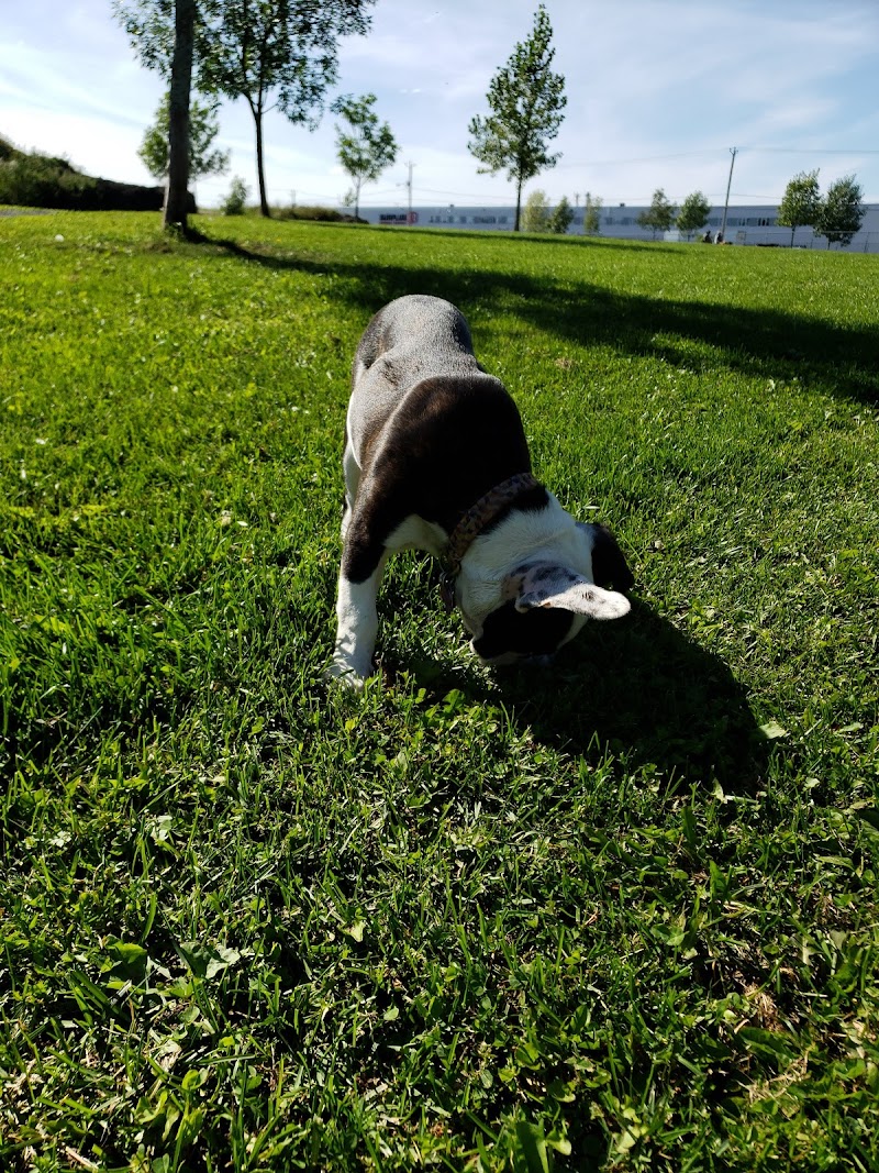 Parc canin dog park in Victoriaville, Quebec