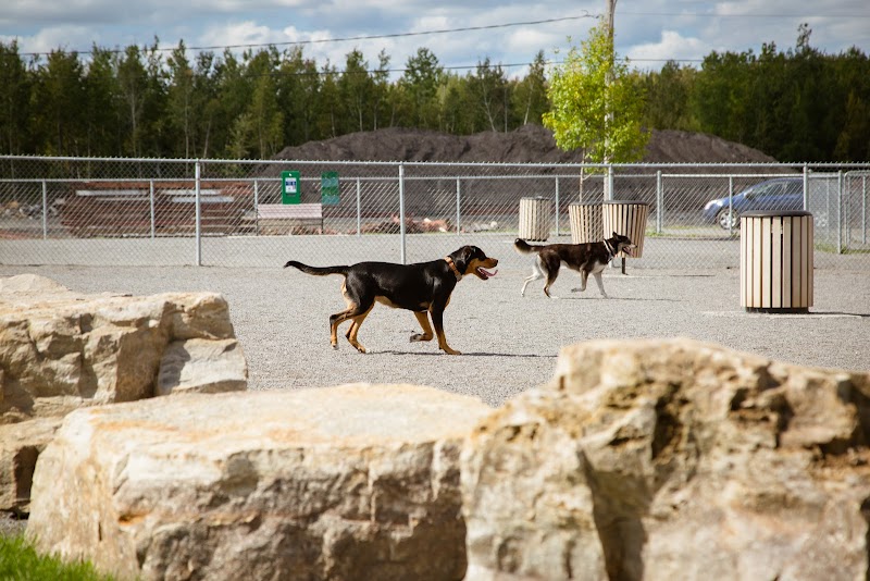 Parc canin dog park in Victoriaville, Quebec