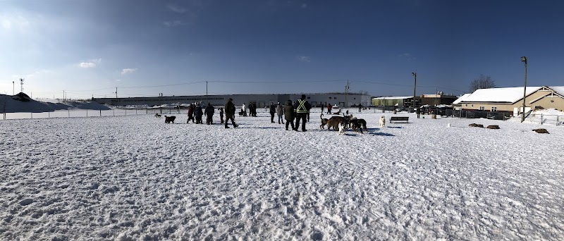 Parc canin dog park in Victoriaville, Quebec