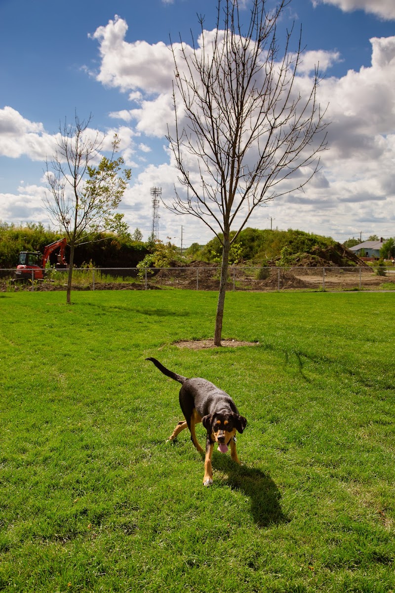 Parc canin dog park in Victoriaville, Quebec