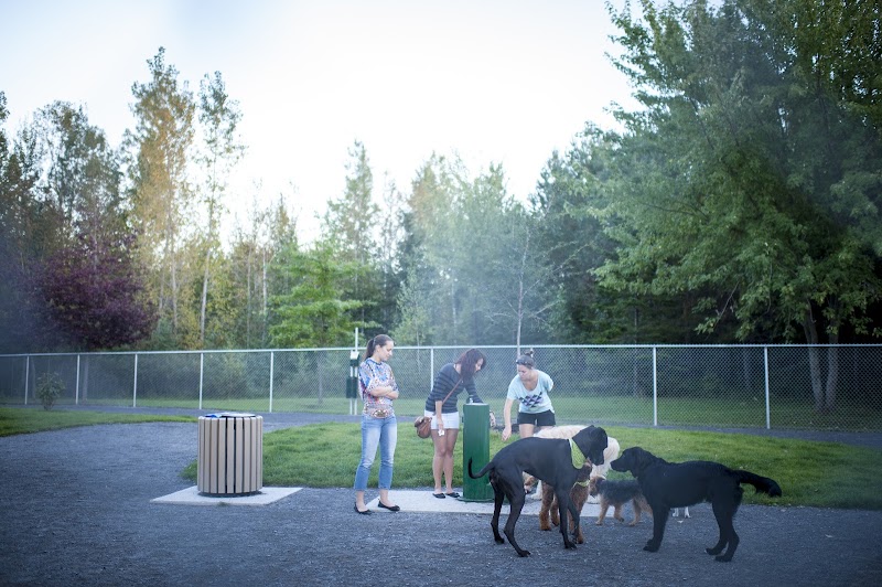 Parc canin Dave-Ross dog park in Victoriaville, Quebec