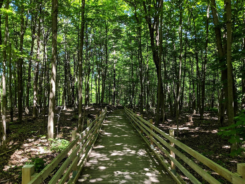 Terre-des-Jeunes Park dog park in Victoriaville, Quebec