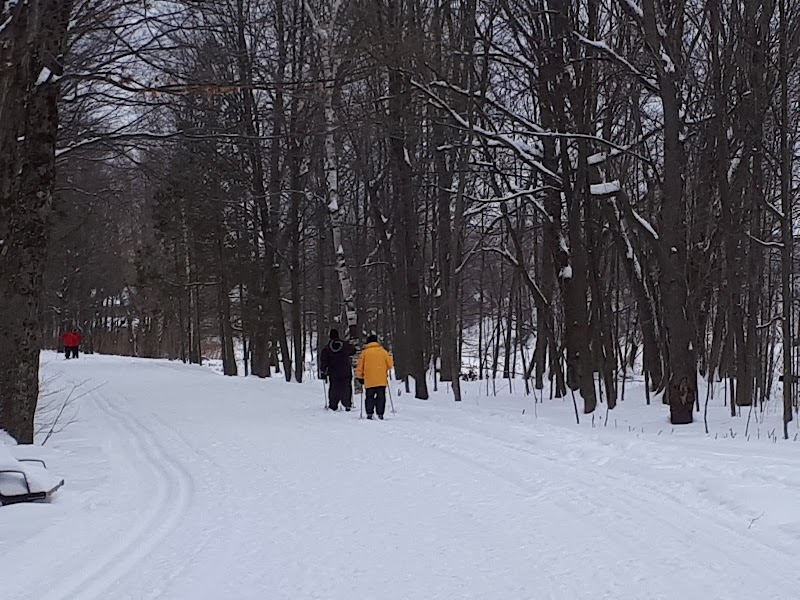 Terre-des-Jeunes Park dog park in Victoriaville, Quebec