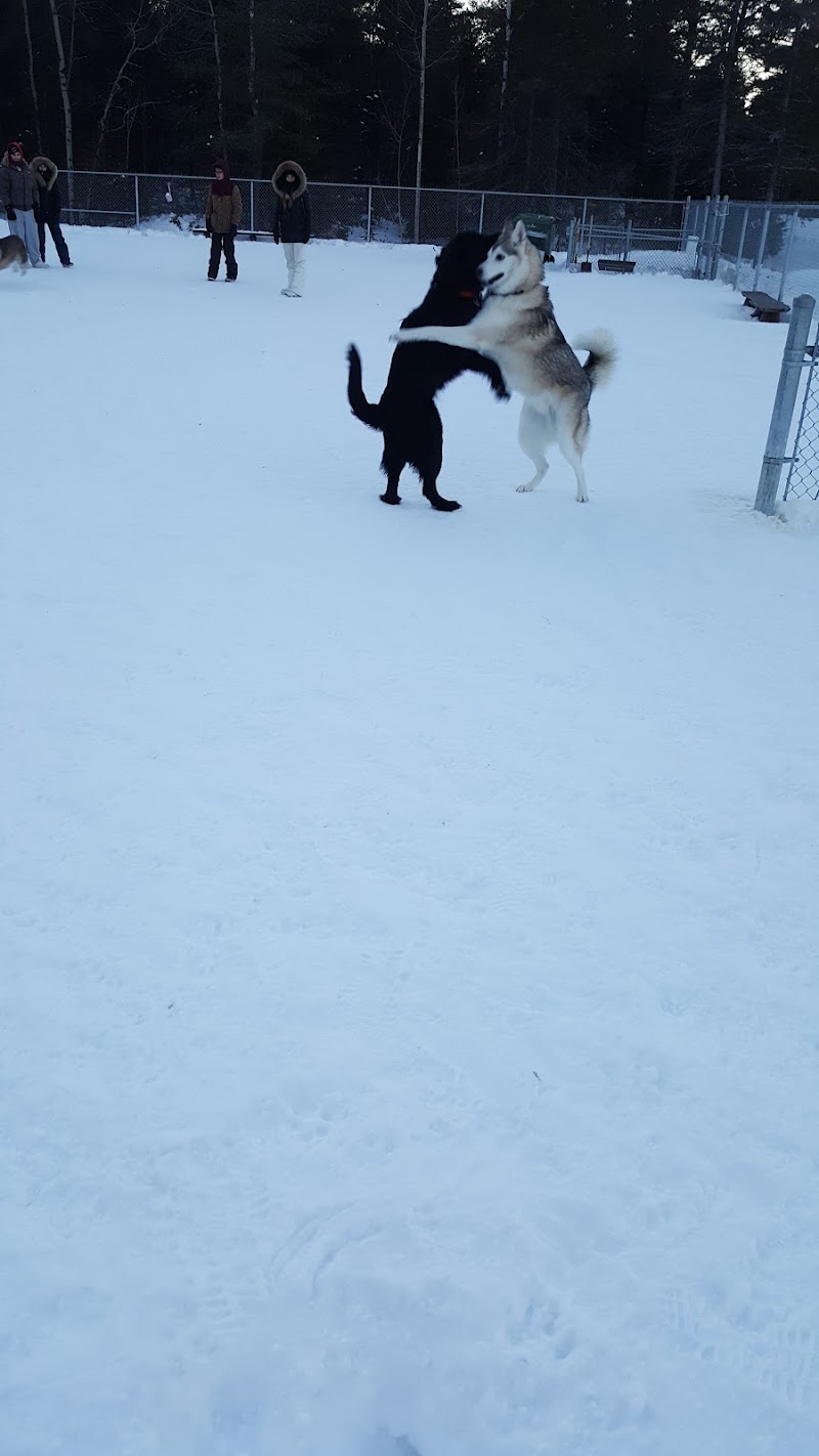 Dog Park dog park in Chicoutimi, Quebec
