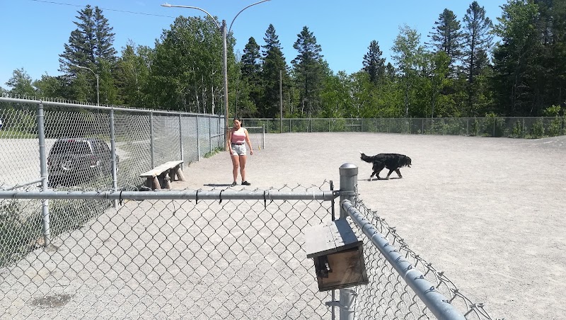 Dog Park dog park in Chicoutimi, Quebec