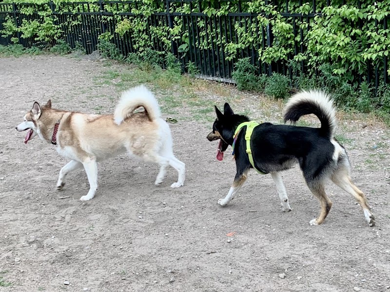 Allan Gardens Dog Park dog park in Toronto, Ontario
