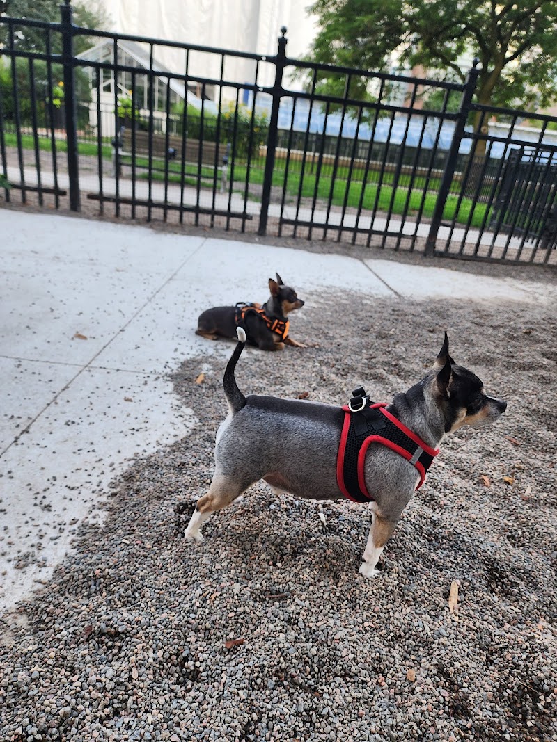 Allan Gardens Dog Park dog park in Toronto, Ontario