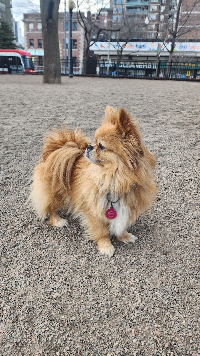 Allan Gardens Dog Park dog park in Toronto, Ontario