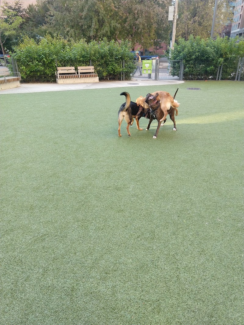 Breadalbane Park dog park in Toronto, Ontario