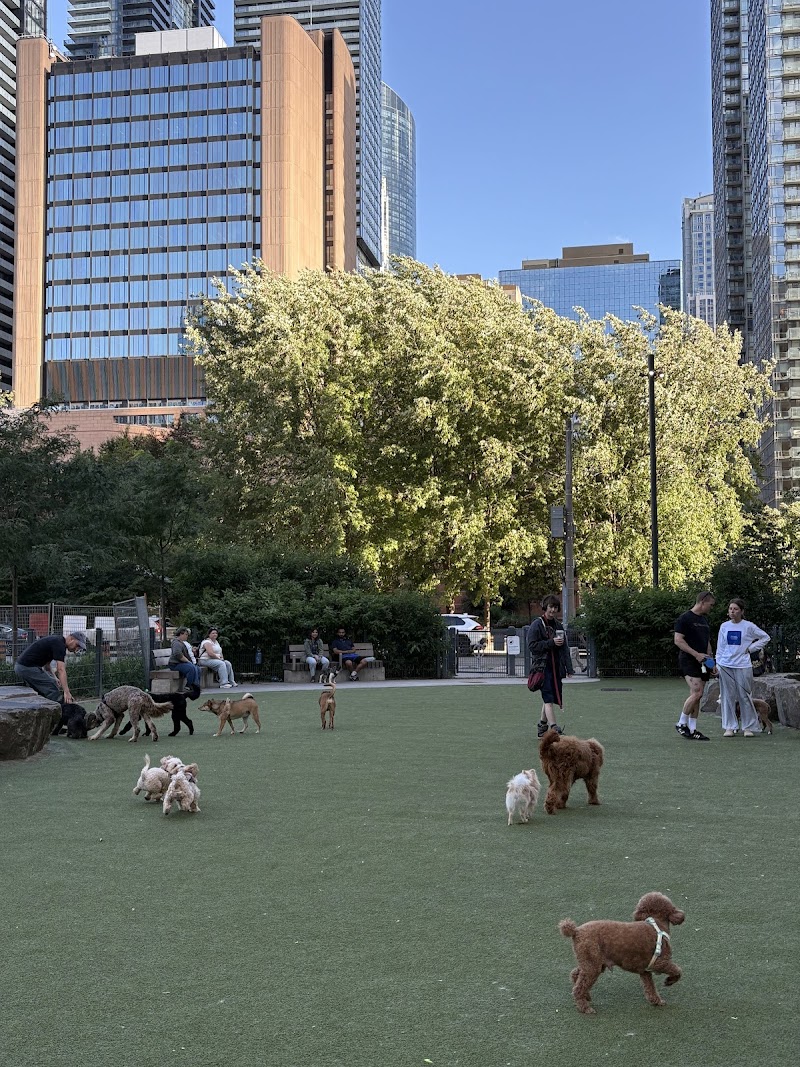 Breadalbane Park dog park in Toronto, Ontario