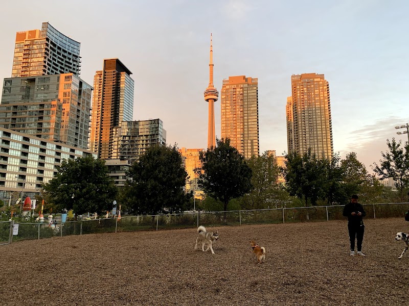 CityPlace Dog Park dog park in Toronto, Ontario