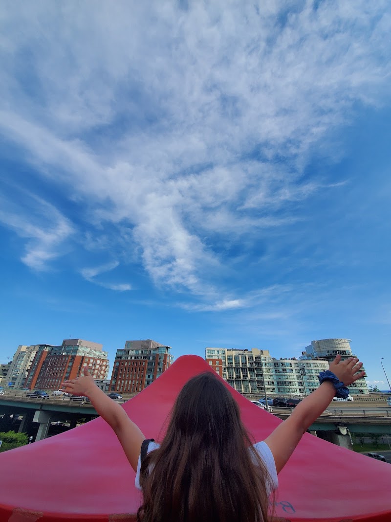 CityPlace Dog Park dog park in Toronto, Ontario