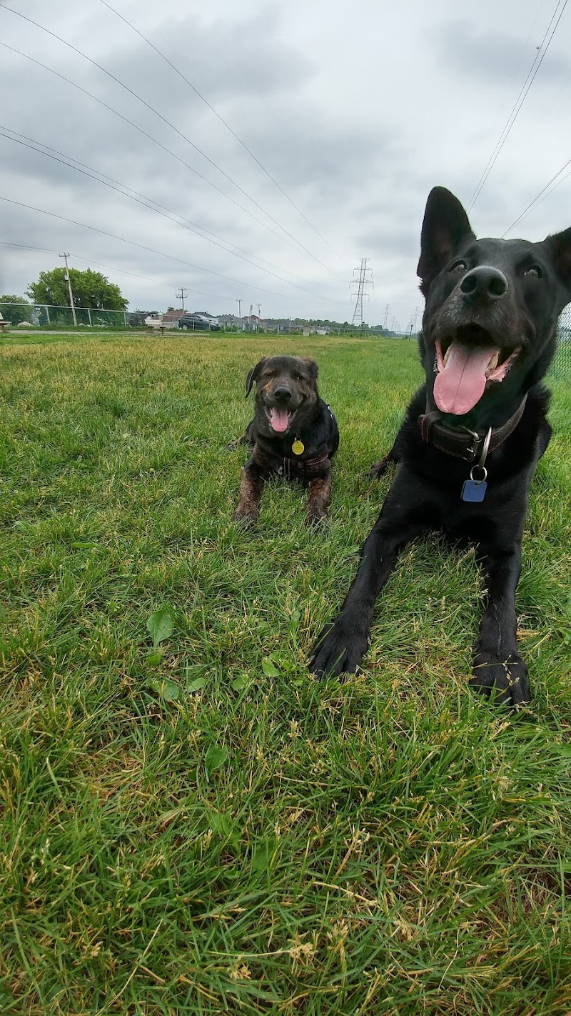 Parc de Lausanne dog exercise area dog park in Laval, Quebec