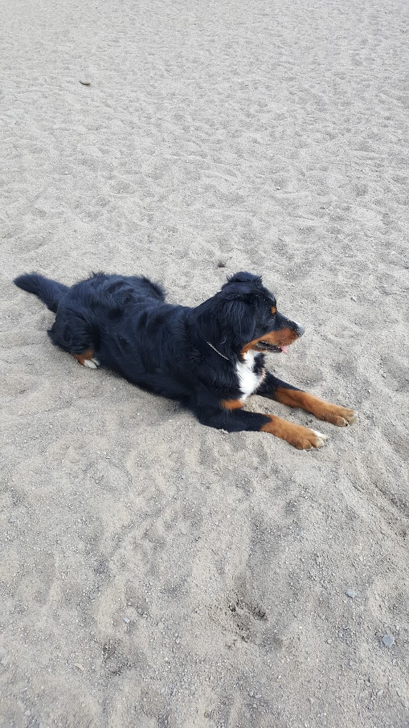 Parc canin Hervé-Doucet dog park in Deux-Montagnes, Quebec