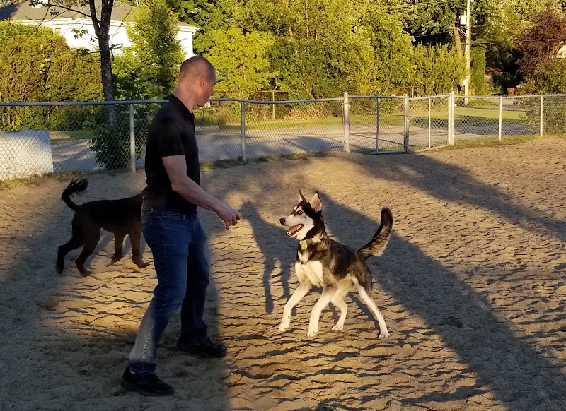Parc canin Hervé-Doucet dog park in Deux-Montagnes, Quebec