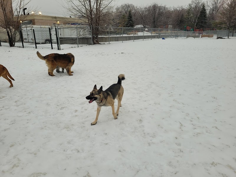 Parc canin Hervé-Doucet dog park in Deux-Montagnes, Quebec
