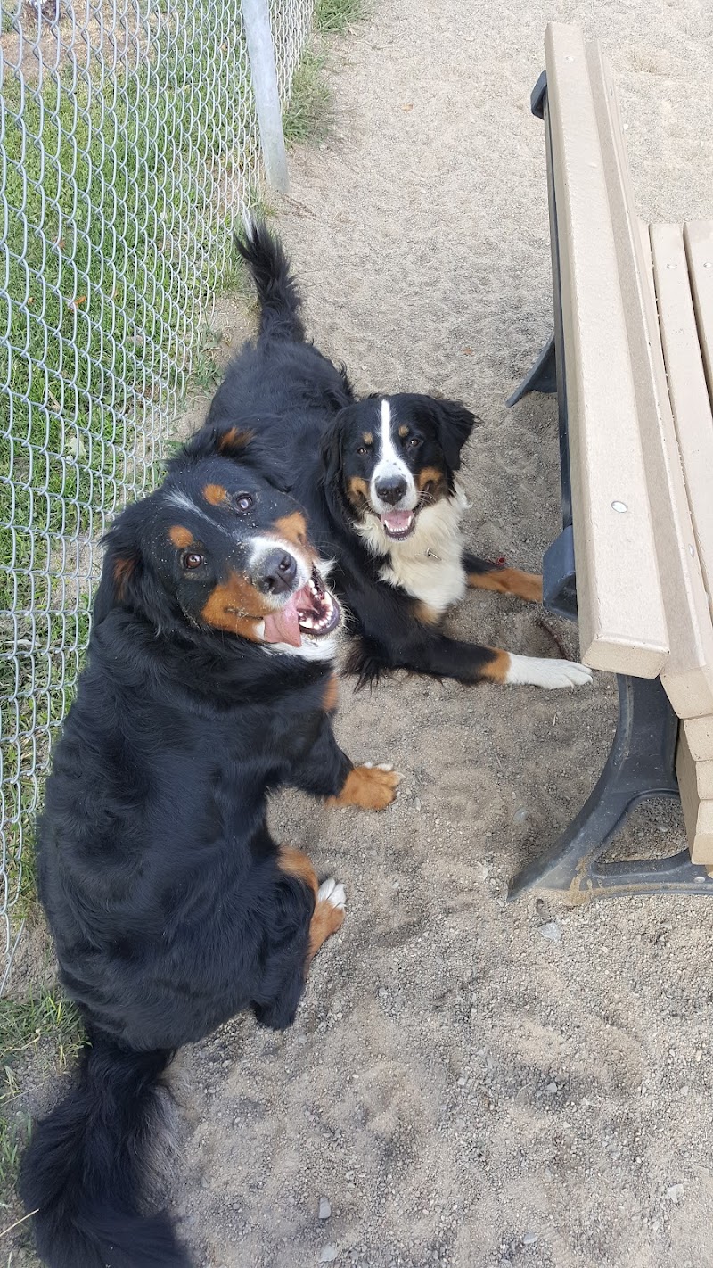 Parc canin Hervé-Doucet dog park in Deux-Montagnes, Quebec