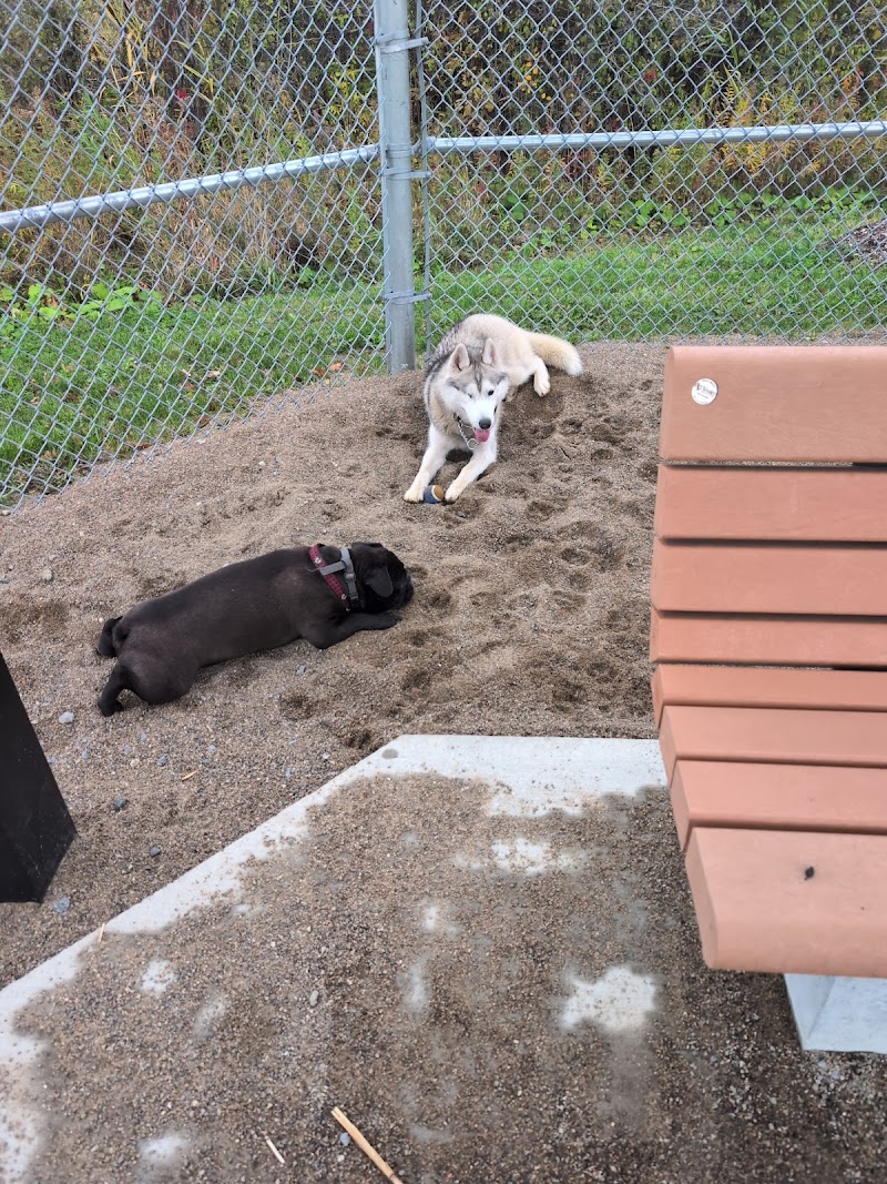 Dog park dog park in Laval, Quebec