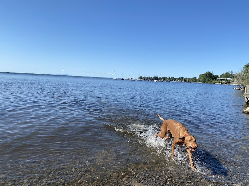 PARC CANIN DOG PARK dog park in Pointe-Claire, Quebec