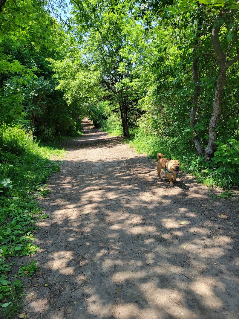 Sunnidale Dog Off-Leash Recreation Area dog park in Barrie, Ontario