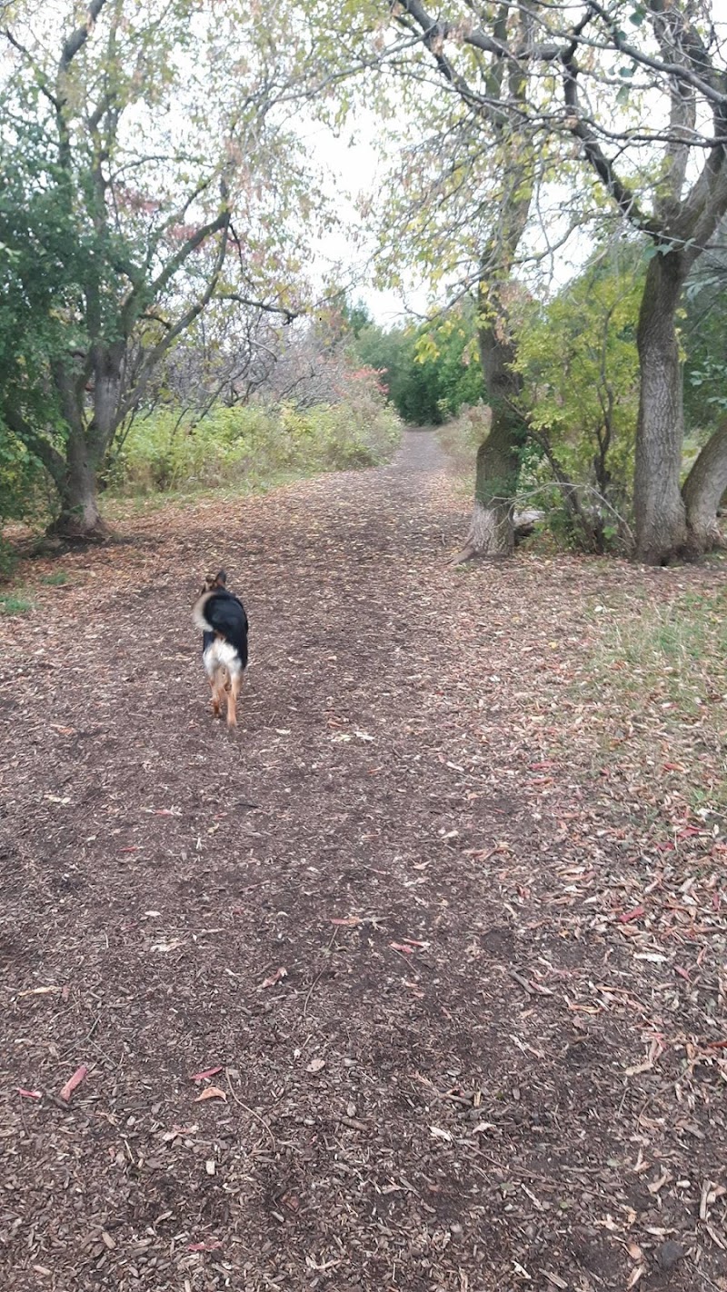 Sunnidale Dog Off-Leash Recreation Area dog park in Barrie, Ontario