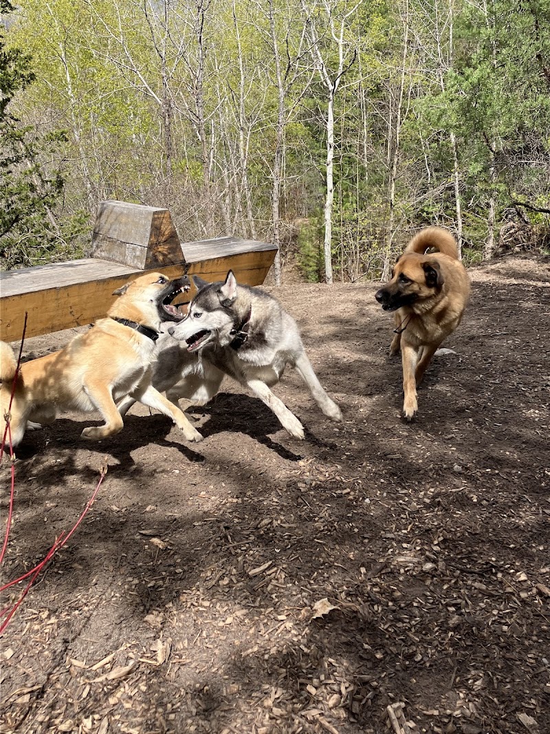Sunnidale Dog Off-Leash Recreation Area dog park in Barrie, Ontario