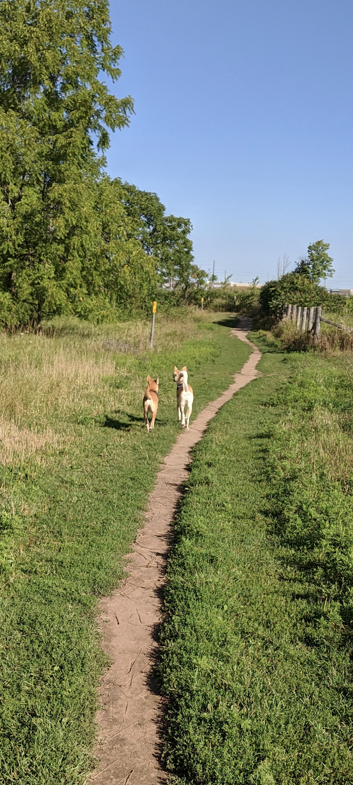 Barrie Dog Off Leash Recreation Area dog park in Barrie, Ontario