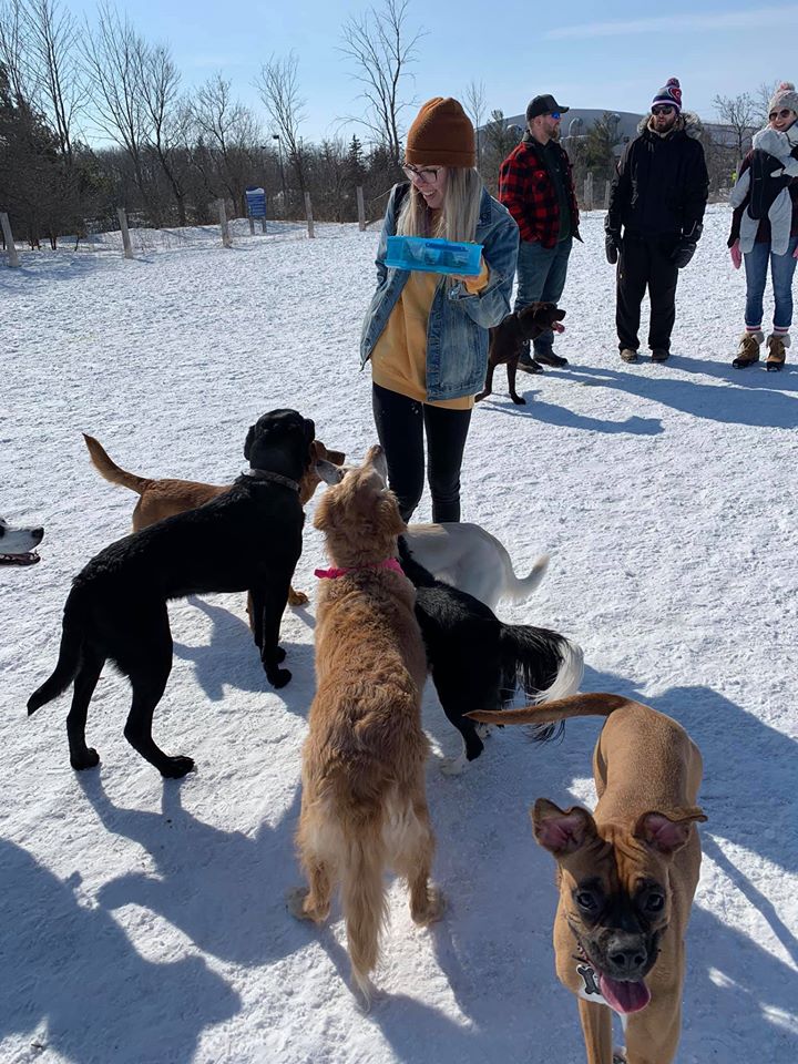 Barrie Dog Off Leash Recreation Area dog park in Barrie, Ontario