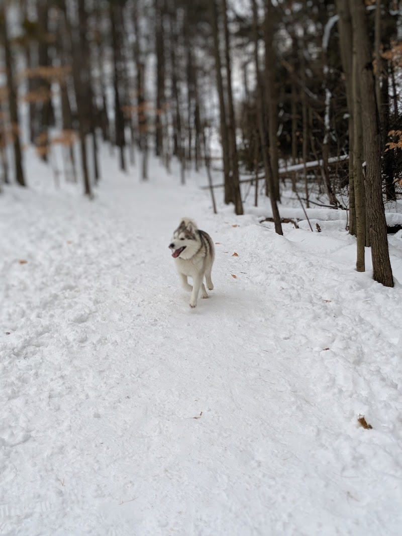 Barrie Dog Off Leash Recreation Area dog park in Barrie, Ontario