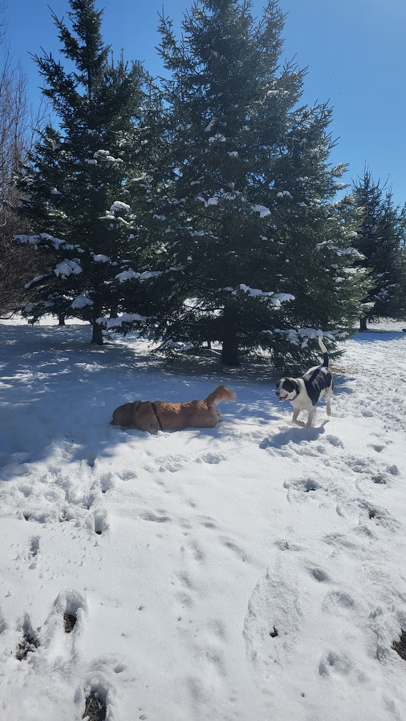 Scanlon Creek Bark Park dog park in Bradford, Ontario