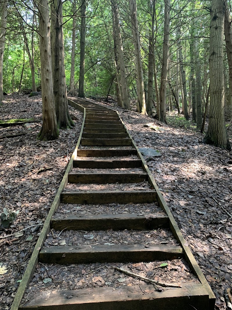 Scanlon Creek Bark Park dog park in Bradford, Ontario