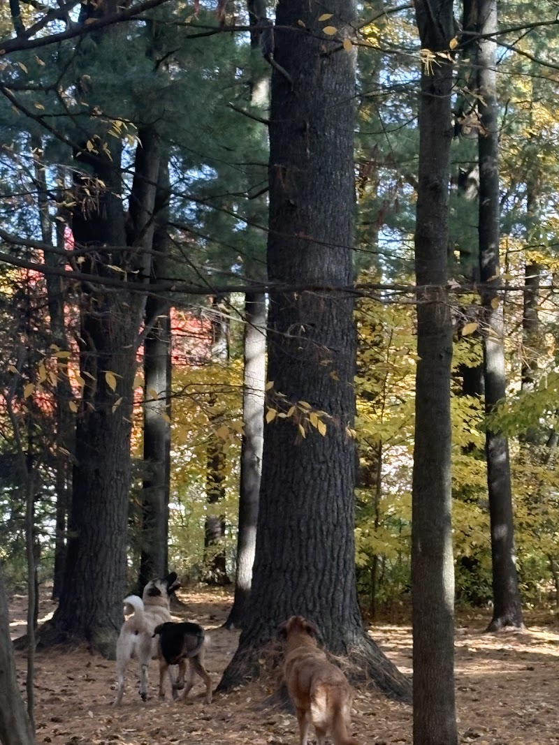Glen Eton Dog Park dog park in Angus, Ontario