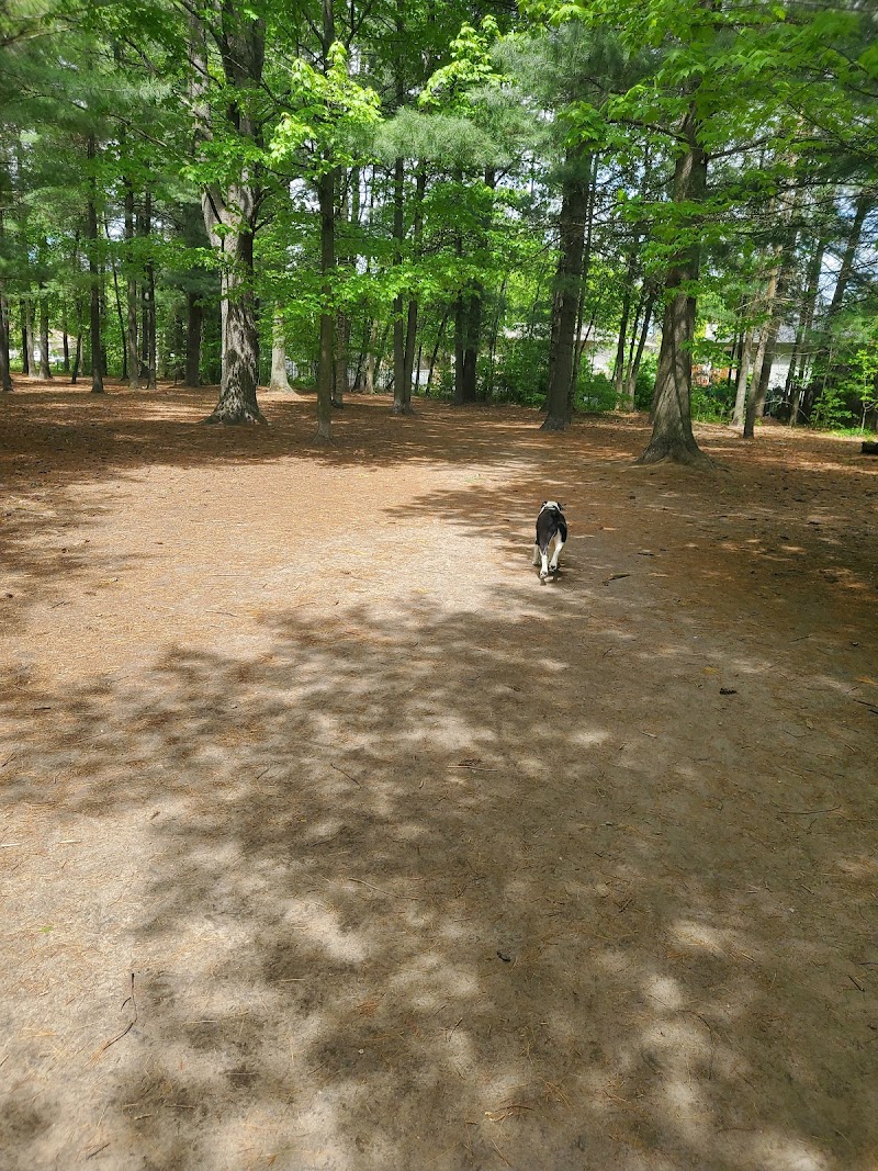 Glen Eton Dog Park dog park in Angus, Ontario